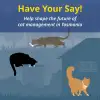 Cat Management in Tasmania - Have Your Say Consultation