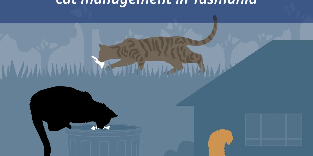 Cat Social Media Tile Square