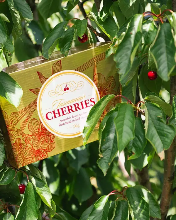 Australia Wide and International Shipping