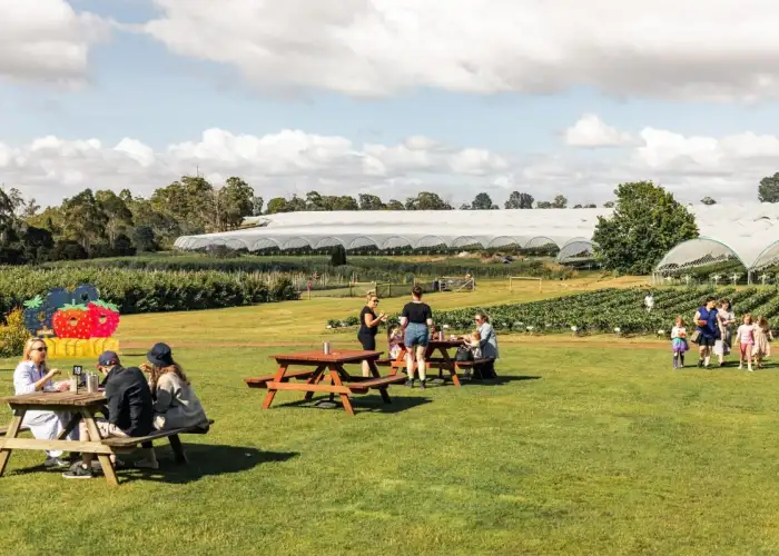 Hillwood berry farmgate cafe outdoors 1201x800