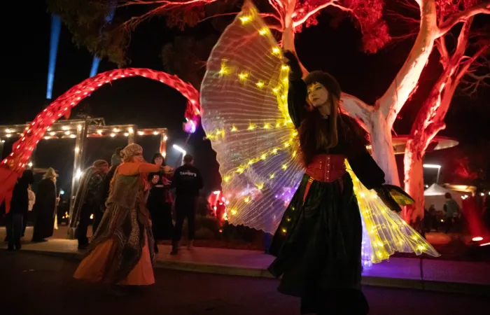 Solstice In The Square 2025 Melanie Kate 36 Small