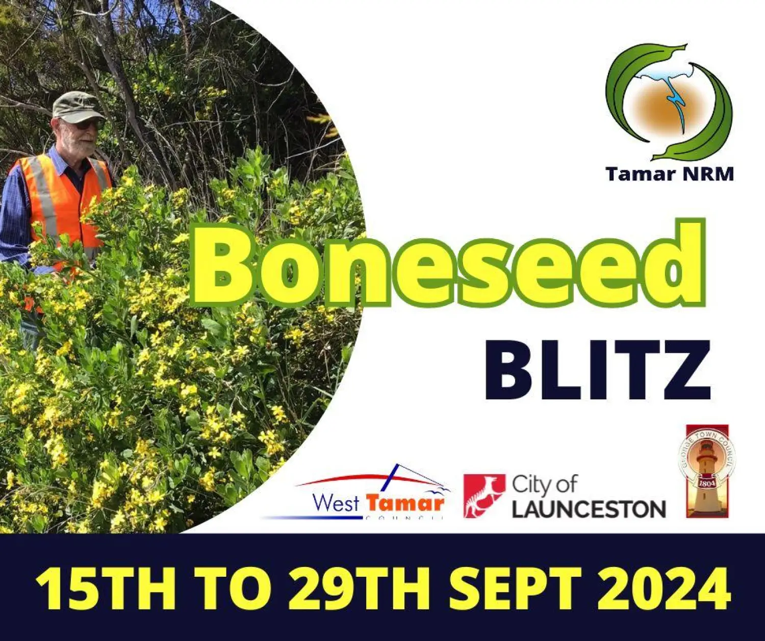Boneseed Blitz 2024