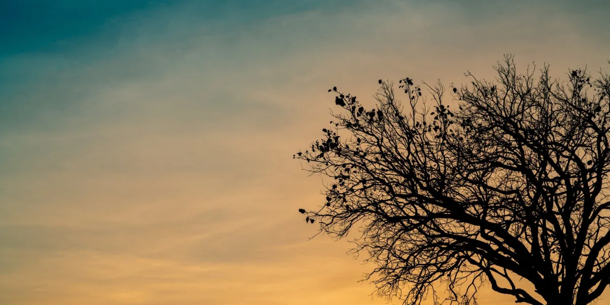 Adobe Stock 251266933