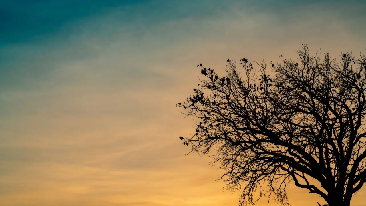 Adobe Stock 251266933