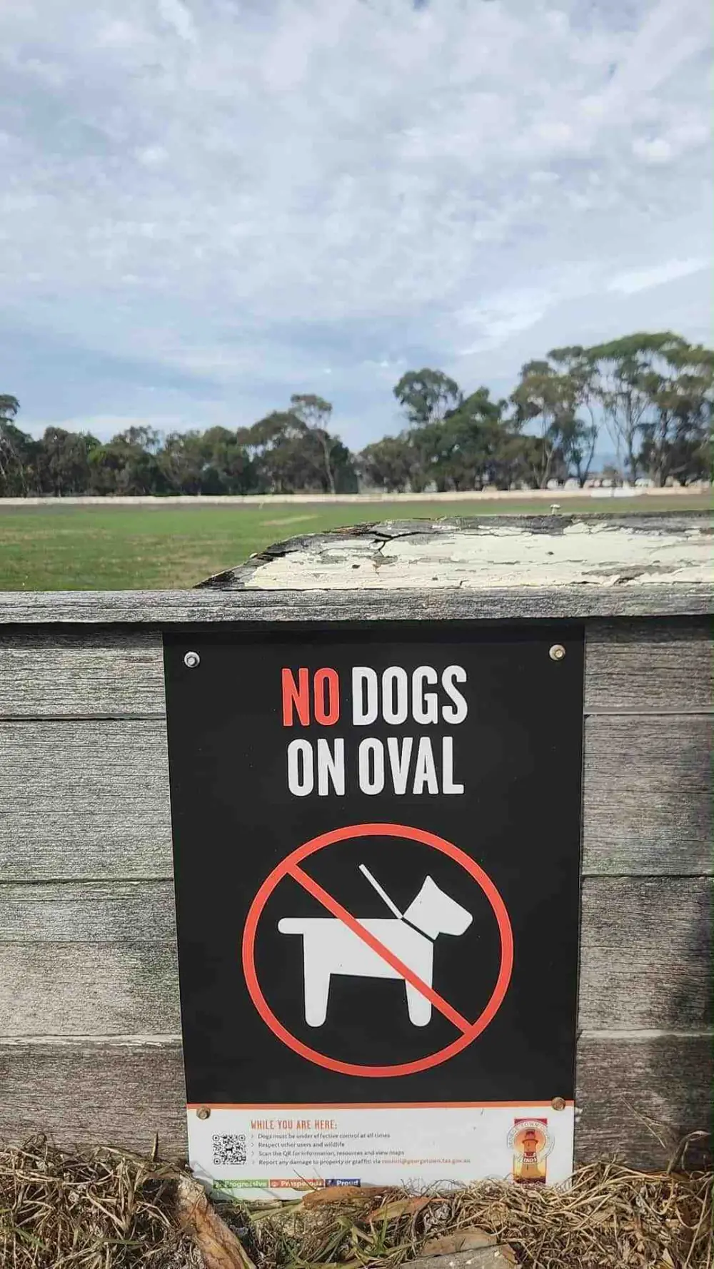 Dog Signage 3