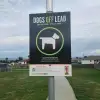 New Dog Signage